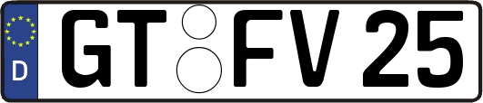 GT-FV25