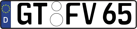 GT-FV65