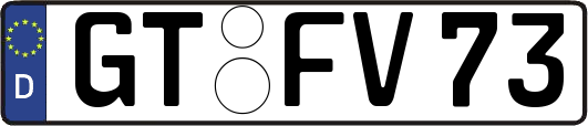 GT-FV73