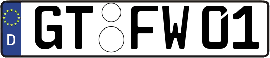GT-FW01