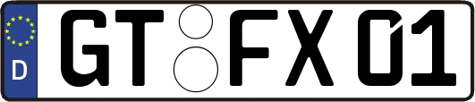 GT-FX01