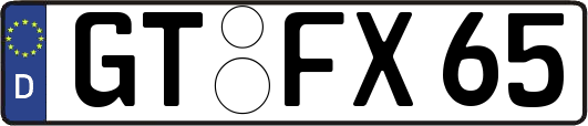 GT-FX65