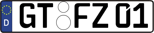 GT-FZ01