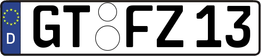GT-FZ13