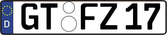 GT-FZ17