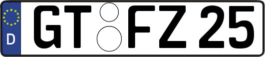 GT-FZ25