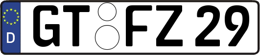GT-FZ29