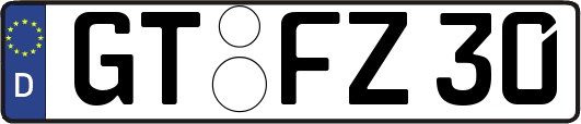GT-FZ30