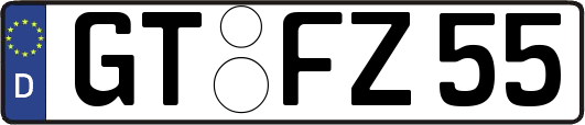GT-FZ55