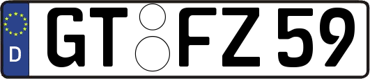 GT-FZ59
