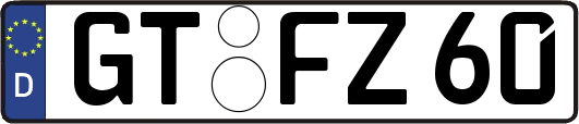 GT-FZ60