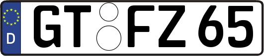 GT-FZ65