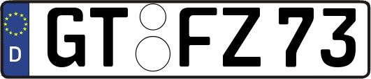 GT-FZ73