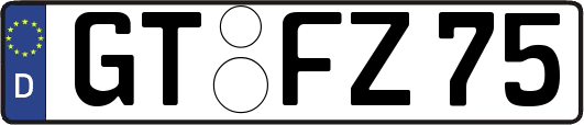 GT-FZ75