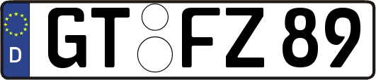 GT-FZ89