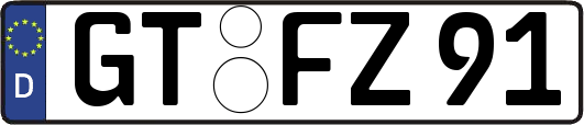GT-FZ91