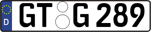 GT-G289