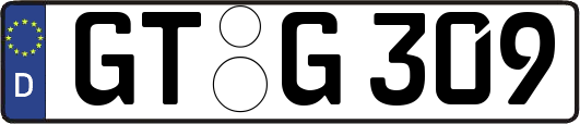GT-G309