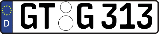 GT-G313