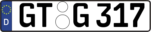 GT-G317