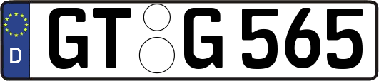 GT-G565