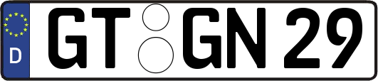GT-GN29