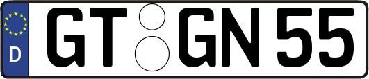 GT-GN55