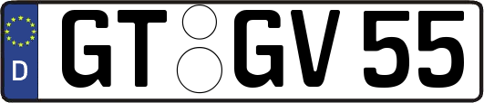 GT-GV55