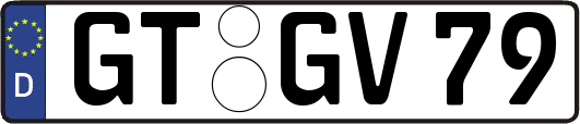 GT-GV79