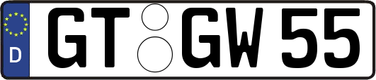 GT-GW55