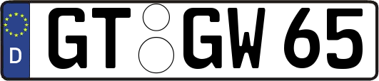 GT-GW65