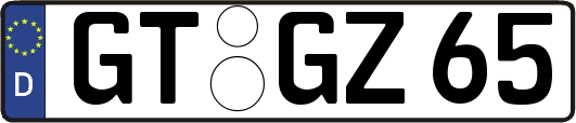 GT-GZ65