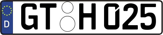 GT-H025