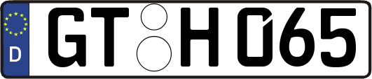 GT-H065