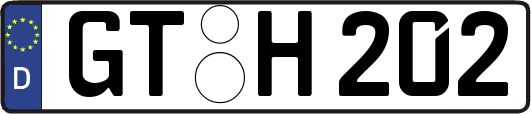 GT-H202