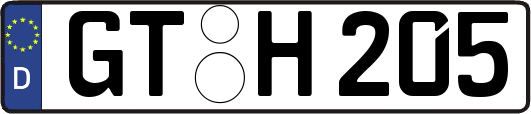 GT-H205