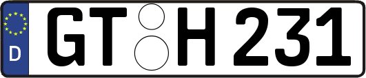 GT-H231