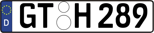 GT-H289