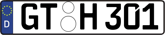 GT-H301
