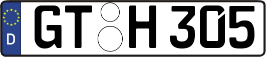 GT-H305