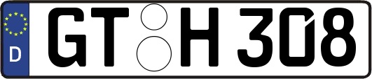 GT-H308