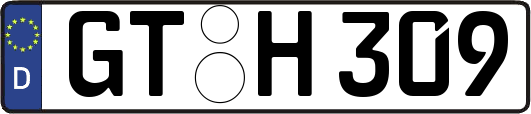 GT-H309