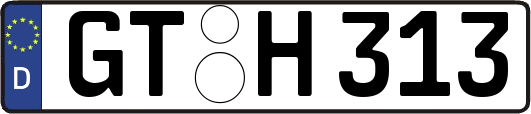 GT-H313