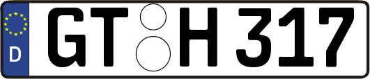 GT-H317