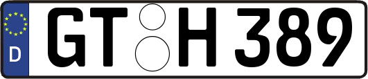 GT-H389