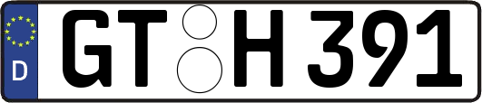GT-H391