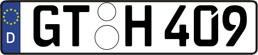 GT-H409