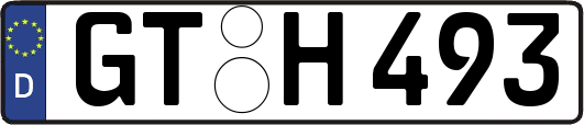 GT-H493
