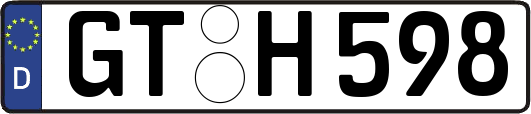 GT-H598