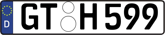 GT-H599